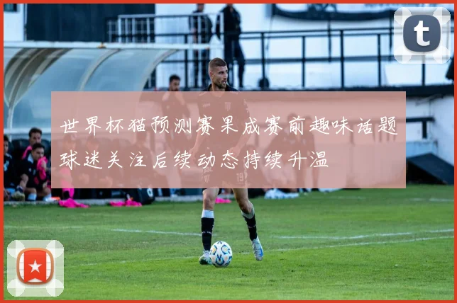 世界杯猫预测赛果成赛前趣味话题球迷关注后续动态持续升温