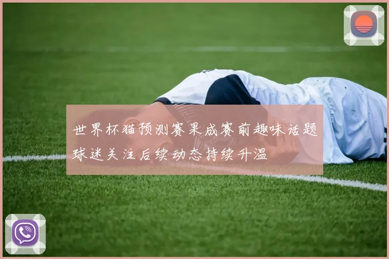 世界杯猫预测赛果成赛前趣味话题球迷关注后续动态持续升温
