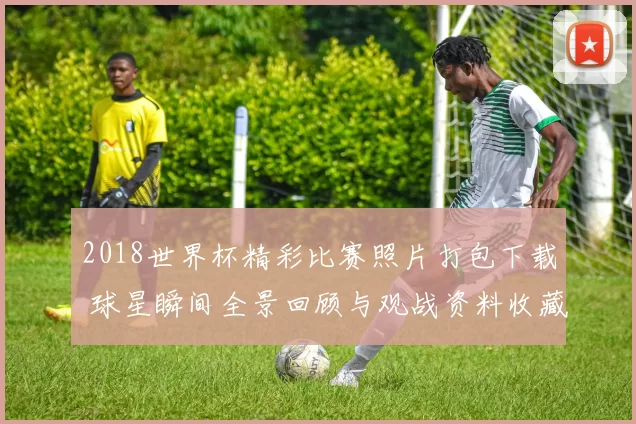 2018世界杯精彩比赛照片打包下载 球星瞬间全景回顾与观战资料收藏