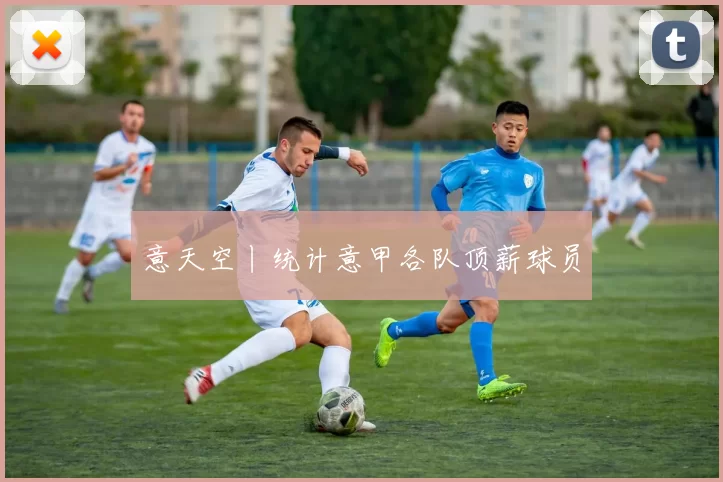 意天空丨统计意甲各队顶薪球员