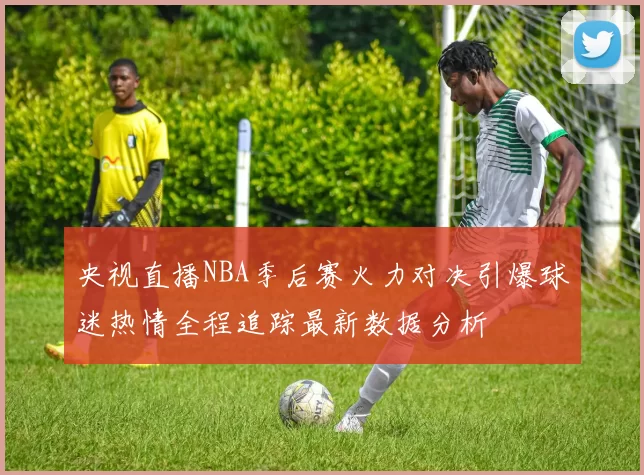央视直播NBA季后赛火力对决引爆球迷热情全程追踪最新数据分析