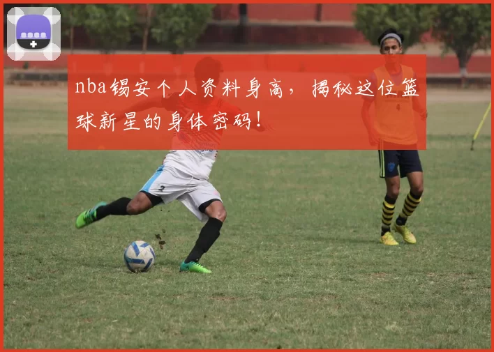 nba锡安个人资料身高，揭秘这位篮球新星的身体密码！